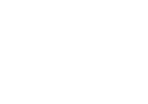 Zion's Washing Bay Logo